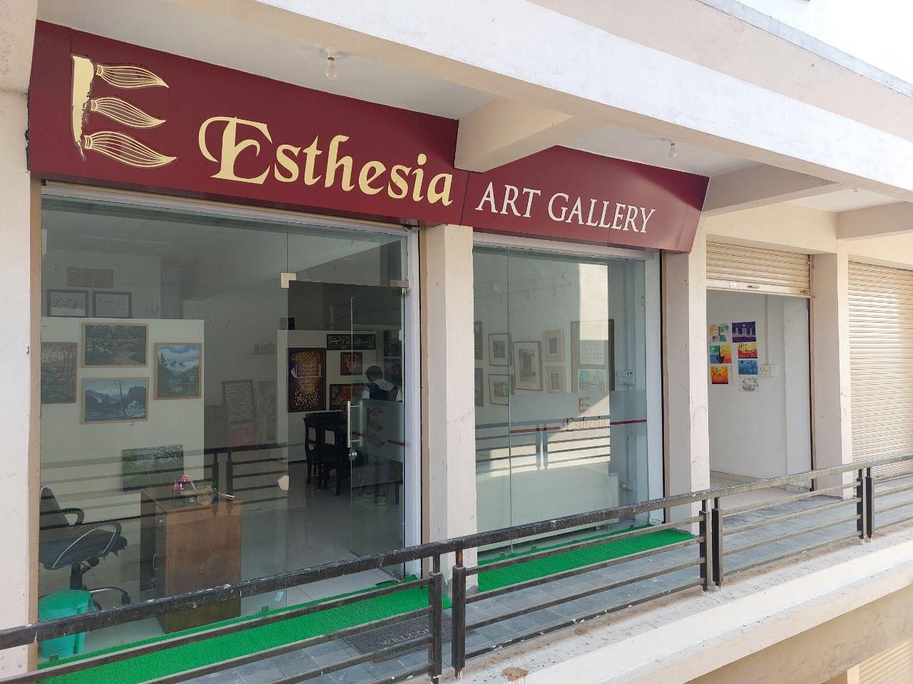 Esthesia art gallery 4